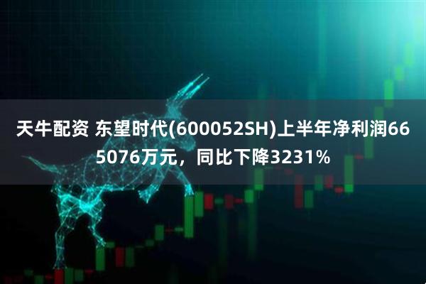 天牛配资 东望时代(600052SH)上半年净利润665076万元，同比下降3231%