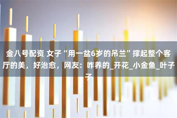 金八号配资 女子“用一盆6岁的吊兰”撑起整个客厅的美，好治愈，网友：咋养的_开花_小金鱼_叶子