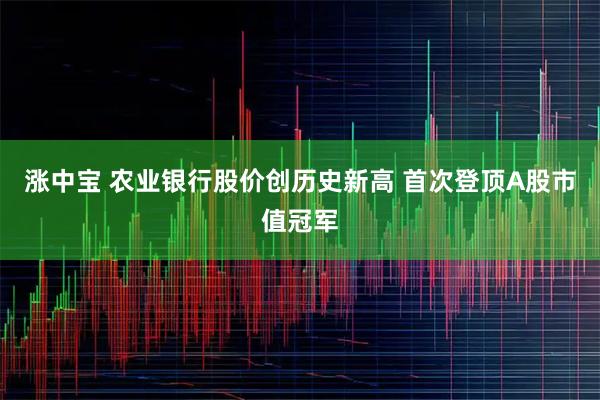 涨中宝 农业银行股价创历史新高 首次登顶A股市值冠军