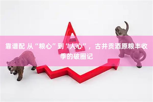 靠谱配 从“粮心”到“人心”，古井贡酒原粮丰收季的破圈记