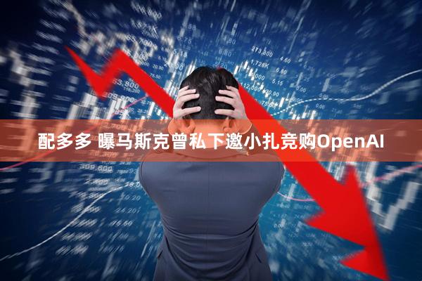 配多多 曝马斯克曾私下邀小扎竞购OpenAI