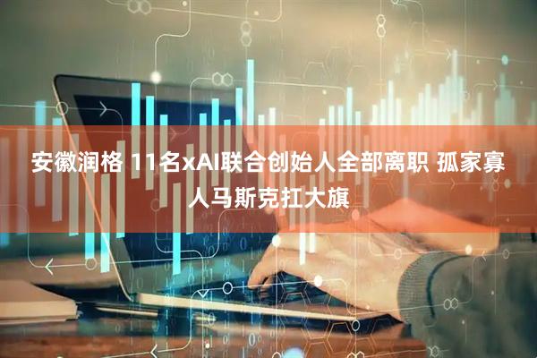 安徽润格 11名xAI联合创始人全部离职 孤家寡人马斯克扛大旗
