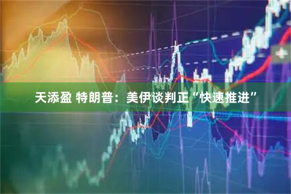天添盈 特朗普：美伊谈判正“快速推进”