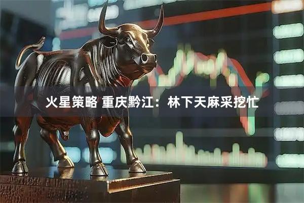 火星策略 重庆黔江：林下天麻采挖忙