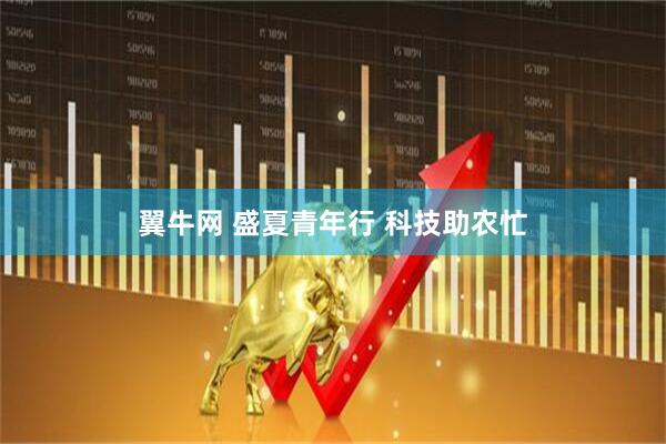 翼牛网 盛夏青年行 科技助农忙